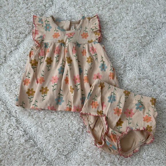 Wild Wawa Rib Flutter Set - Picture 1 of 8